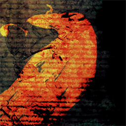 Indice 2 - Skeleton Creek