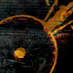 Indice 4 - Skeleton Creek