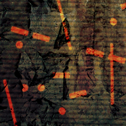 Indice 9 - Skeleton Creek